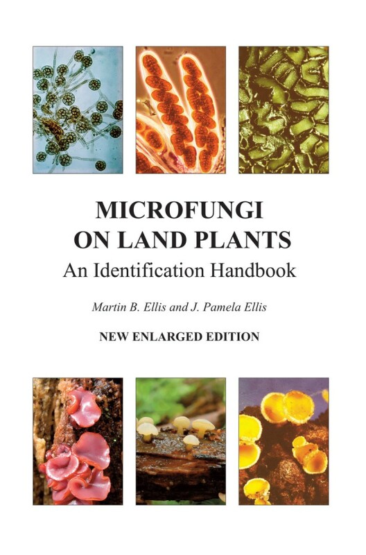 New publications (mycology, lichenology)