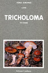 Fungi Europaei Tricholoma part II