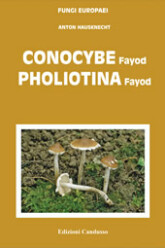 Fungi Europaei 11 Conocybe - Pholiotina (2008)-A. H
