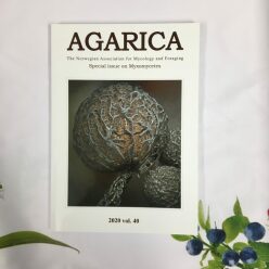 Agarica 40: Special issue on slime moulds (myxomycetes) in Norway