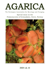 Agarica 41: Special issue on the Pezizomycetes of Grimsdalen, Dovre, Norway