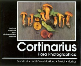 Cortinarius flora photographica vol.5 (english)