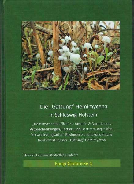 The new publication about Hemimycena