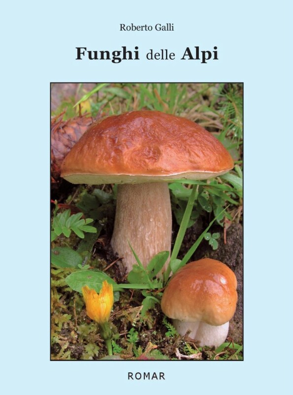 Funghi delle Alpi
