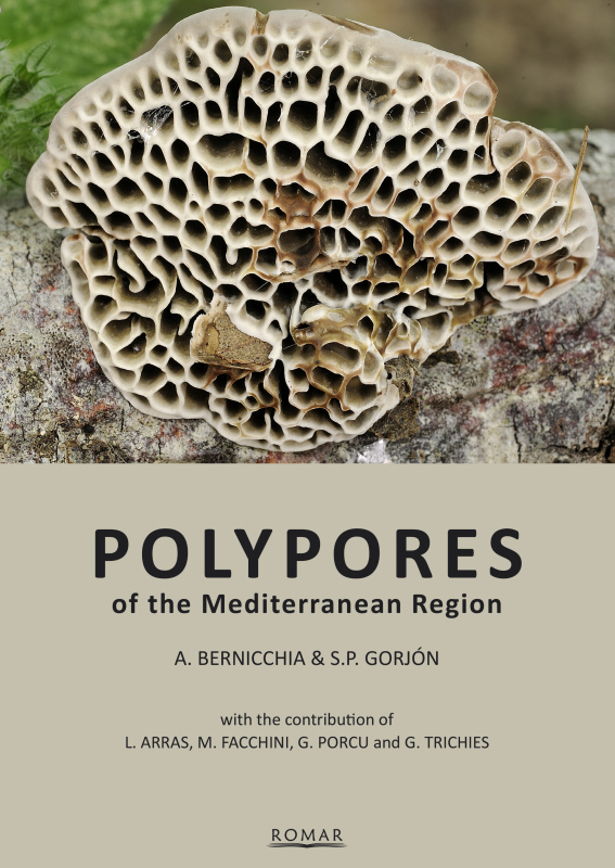 Polypores of the Mediterranean region-A.Bernicchia