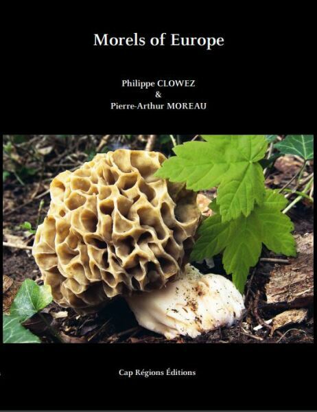 Morels of Europe (2021)