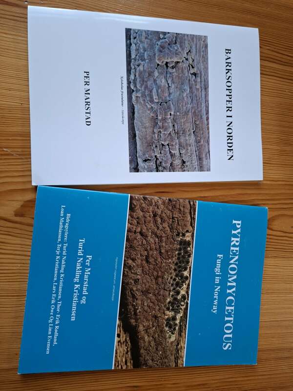 Two new photo books from Norway by Per Marstad