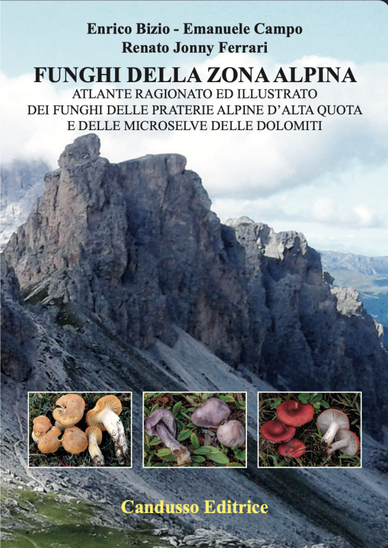 Funghi della zona alpina