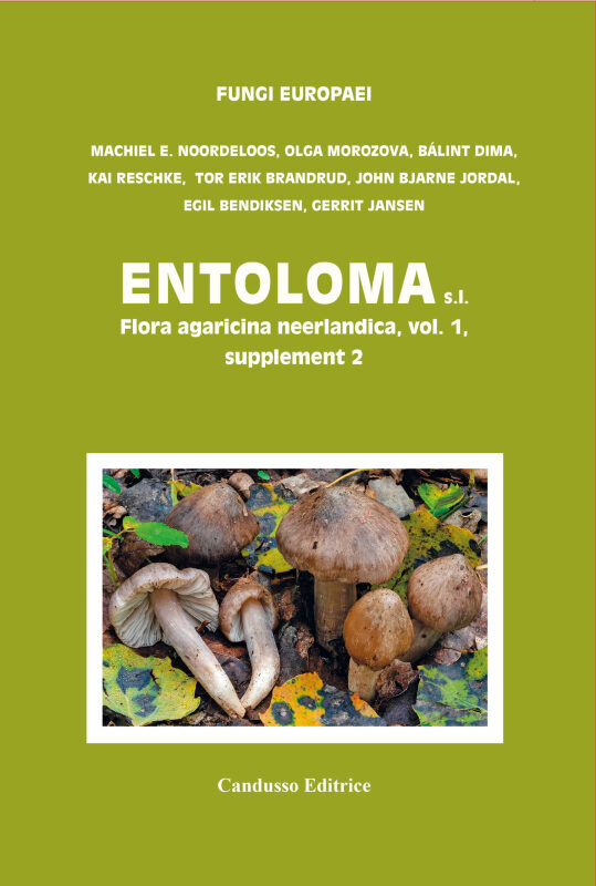 Entoloma 5c