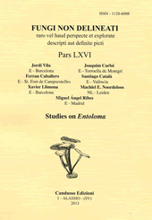 J.Vila-J.Carbó-F.Caballero-S.Catalá Xavier Llimona-MACHIEL. E. NOORDELOOS & MIGUEL ÁNGEL RIBES St