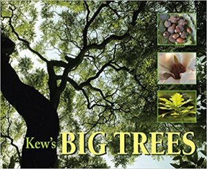 Kew's Big Trees (2008)-Christina Harrison