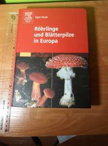 (Antik) Röhrlinge und Blätterpilze in Europa (2005)- E. Horak