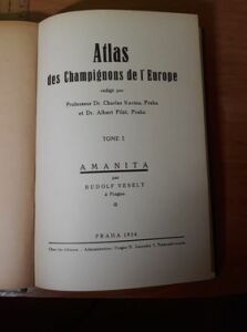 (Antik) Atlas des Champignons de l´Europe-Tome I. (1934)- K. Kavina, A. Pilát, R. Veselý