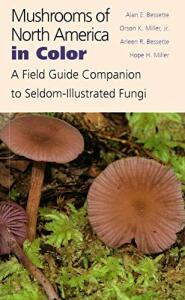 Mushrooms of North America in Color: A Field Guide Companion to Seldom-Illustrated Fungi