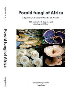 Synopsis fungorum 45-Poroid fungi of Africa (2022)-L. Rivarden et al.
