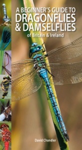 A Beginner's Guide to Dragonflies & Damselflies of Britain & Ireland-David Chandler