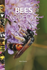 The Bees of Norfolk