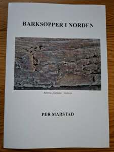 Barksoper i Norden (2025)-Per Marstad