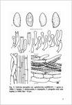 A. De Haan & R. Walleyn-Studies in Galerina - Galerinae Flandriae (1)