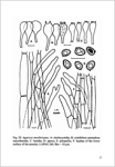 L. A. Parra-Contribution to the knowledge of genus Agaricus