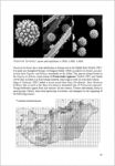 I.Rimóczi-M. Jeppson-L. Benedek-Characteristic and rare species of Gasteromycetes in Eupannonicum