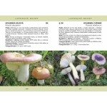 Rare fungi of the Tabor region (2020)- P. Špinar