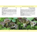 Rare fungi of the Tabor region (2020)- P. Špinar