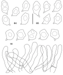 Entoloma s. l. vol.5b (2022)-Machiel E. Noordeloos, Olga Morozova, Bàlint Dima, Kai Reschke,  Gerrit Jansen, Tor Erik Brandrud,