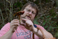 A day with a mycologist