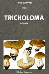 Fungi Europaei 3 Tricholoma (Fr.) St. (2003)-A.Riva