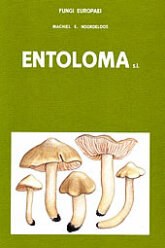 Fungi Europaei 5 Entoloma s.l. (1992)-M. E. Noordeloos