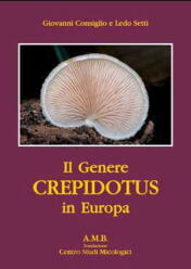 G. Consiglio e L. Setti (2009)-Il Genere Crepidotus in Europa