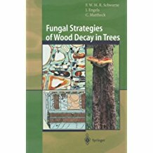 Fungal Strategies of Wood Decay in Trees (2000)-Schwarze, Francis W.M.R., Engels, Julia, Mattheck, Claus