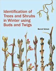 Identification of Trees and Shrubs in Winter Using Buds and Twigs (2018)