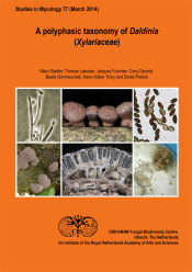 Studies in Mycology No. 77 (2014)-A polyphasic taxonomy of Daldinia (Xylariaceae)
