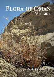 Flora of the Sultanate of Oman, vol. 4