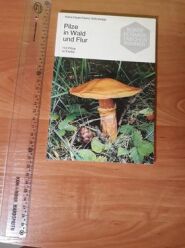 (Antik) Pilze in Wald und Flur (1970)- H. Haas, H. Schrempp