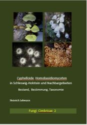 Cyphelloide Homobasidiomyceten (2021)-LEHMANN, H.