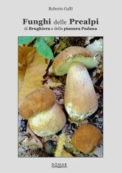 Funghi delle Prealpi, di Brughiera e della pianura Padana (2021)- R. Galli