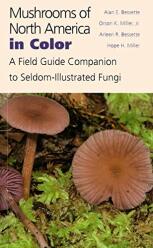 Mushrooms of North America in Color: A Field Guide Companion to Seldom-Illustrated Fungi