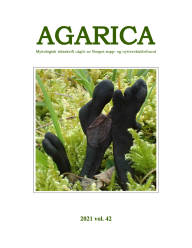 Agarica 42 mykologisk tidsskrift (2021)