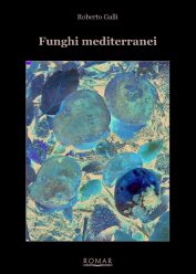 Funghi mediterranei (2025)- R.Galli